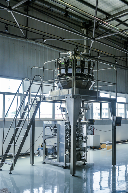 Multi-lane Vertical Packing Machine